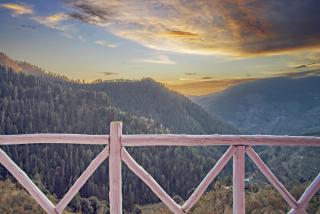 Nesta Narkanda Cottage, Rooms and Guided Treks - 4