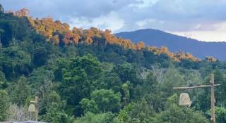 Khaopubpa Resort - 1