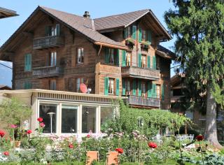 Edelweiss Lodge - Wilderswil - 4