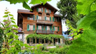 Edelweiss Lodge - Wilderswil - 5