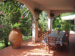 Villa Scario-Cilento - 8