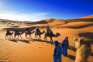 Achabou Luxury Camp - 4