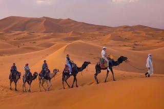 Achabou Luxury Camp - 2