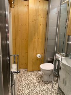 One bedroom flat in the hearth of Ptuj - 1