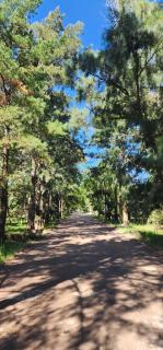 Casa Quinta El Rodeo - 4