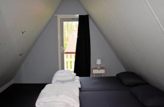 Torenvalk I Genieten nabij Bos - 3