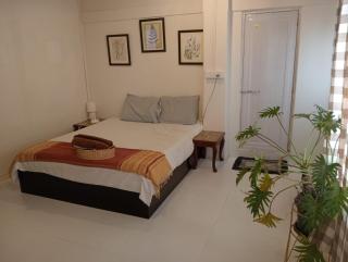 The Local Guest House - 6