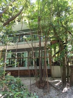 Ninhos da Pipa - Pipa - 8