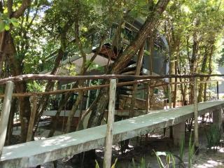 Ninhos da Pipa - Pipa - 9