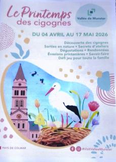 MUNSTER camping de la FECHT - 9