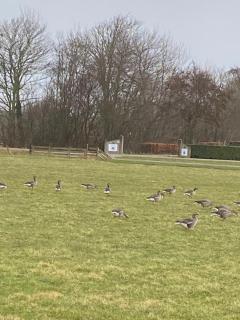 Oomes Huus - Sleep by Hästens, Wake with Coffee - 8