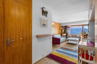 Emeraudes 611 pres de la telecabine a Anzere - 3