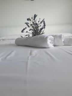 Farrmhouse with Goats and Garden - 7