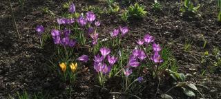 Green Point - 25 min to the center by tram - Praga - 9