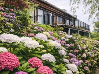 ガーデンリゾート 潮美庵 - 1