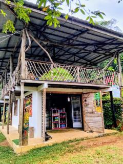 The Temple fin del mundo Mocoa - 9