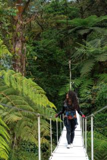 Hotel - Díaz de Descanso - 2