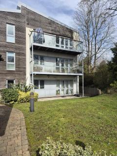 Quirky Modern Apartment in Quiet Croydon - Perfect for contractors and tourists - 9