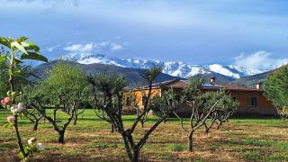 El Nido del Cuco - 4