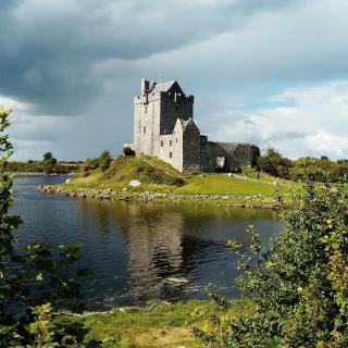 Cove Guest Accommodation - 4