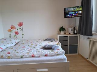 Ferienwohnung und Gästezimmer Lisi - nahe Salzburg, Parkplatz, ideal für Familien und Durchreise - Kuchl - 3