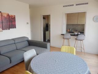 Apartment with views of all of Barcelona, parking, swimming pool - 1