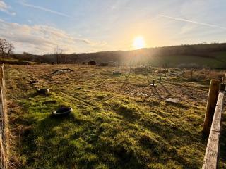 Four Paws Glamping - 4