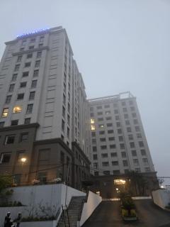 velvet rose home - 4