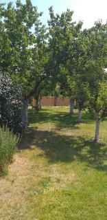 Chalupu u dubu Horní Ostrovec - 5