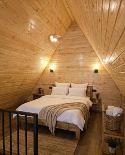 AURORA DUALIS,Designed By Khi - 8