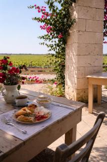 Masseria Cuturi - Manduria - 6