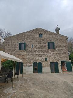 Gli Ulivi del Nonno - 5