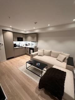 Apartment with panoramic view - 1