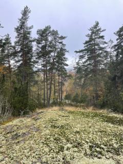 Nice idyllic house - 7