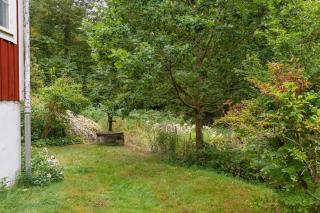 Nice idyllic house - 2