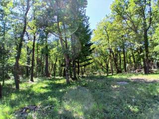 Le Bois de FARNAUD - 8