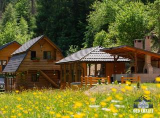 Old Chalet Apuseni - 0