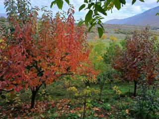 Camping SuperPanorama - 7