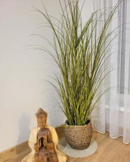 To Be Apartament Palanga - 8
