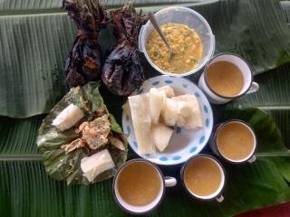 Panguana Lodge all inclusive - 6