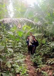 Panguana Lodge all inclusive - 9