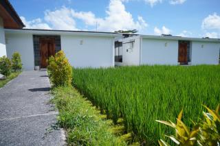 2 BR Private Villa with Open View of Rice Fields - 7