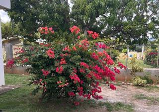 Toll Gate Cul-de-Sac Apartments - 1