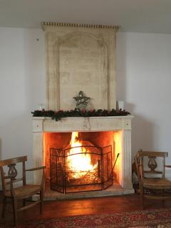 House 14 pers - Beach and shops within walking distance - Garden - 2