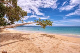 Tres Pipas-Selva Beachfront Arrecife, Wifi, AC - 8