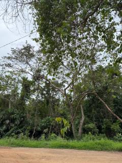 Bahay El Nido - 0