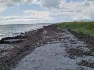 6 person holiday home in Læsø-By Traum - 4