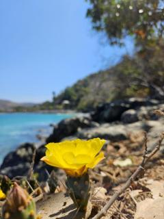 Refugio en el Paraíso - 9