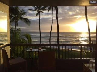 Oceanfront with Private Beach! Hale Mahina Beach Resort A206 - 9