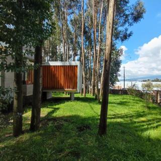 ENTRE BOSQUES - Eucalyptus Forest Villa - 8